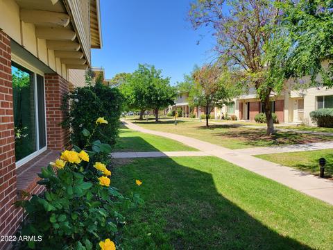 4486 E Belleview St, Phoenix, AZ 85008 photo 5