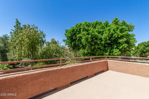 2455 E Sapium Way, Phoenix, AZ 85048 photo 18