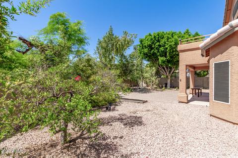 2455 E Sapium Way, Phoenix, AZ 85048 photo 29