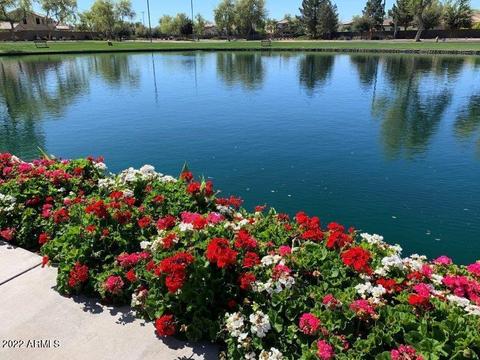 4302 S Fireside Trl, Gilbert, AZ 85297 photo 50