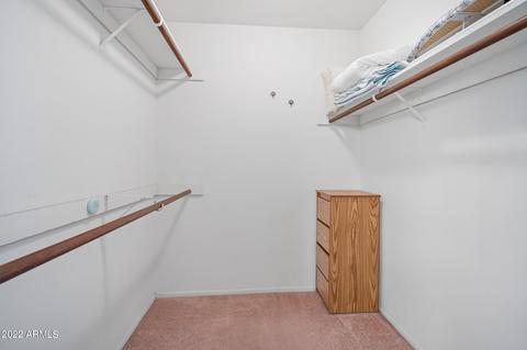 7931 E Desert Trl, Mesa, AZ 85208 photo 19