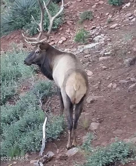 4605 N Portal Dr, Pine, AZ 85544 photo 38