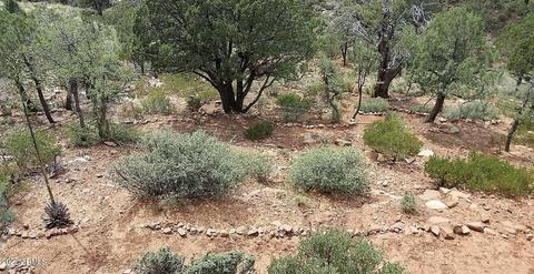 4605 N Portal Dr, Pine, AZ 85544 photo 37