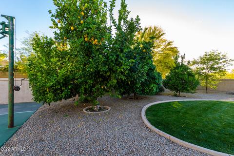 4428 E Mountain View Rd, Phoenix, AZ 85028 photo 59