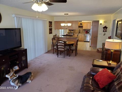 855 E Desert Ave, Apache Junction, AZ 85119 photo 7