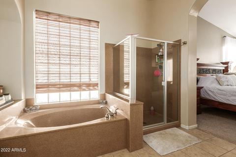 10215 E Lakeview Ave, Mesa, AZ 85209 photo 18