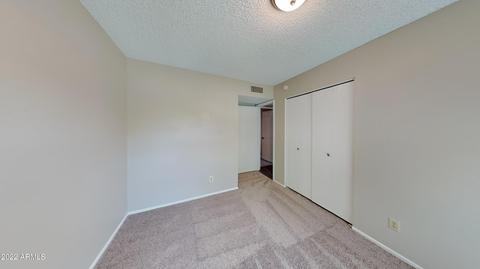 834 E June St, Mesa, AZ 85203 photo 13
