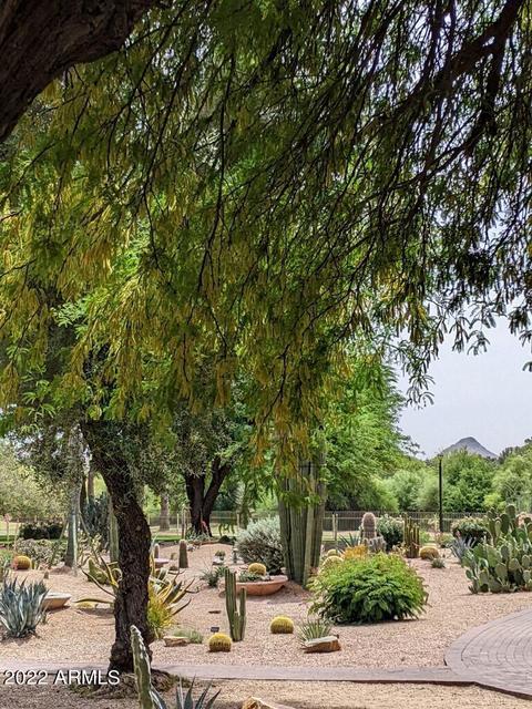4303 E Cactus Rd #207, Phoenix, AZ 85032 photo 30