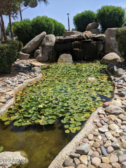 4303 E Cactus Rd #207, Phoenix, AZ 85032 photo 33