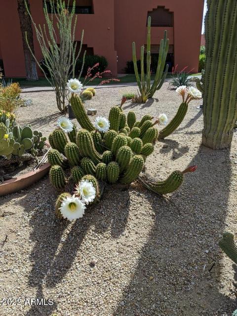 4303 E Cactus Rd #207, Phoenix, AZ 85032 photo 34