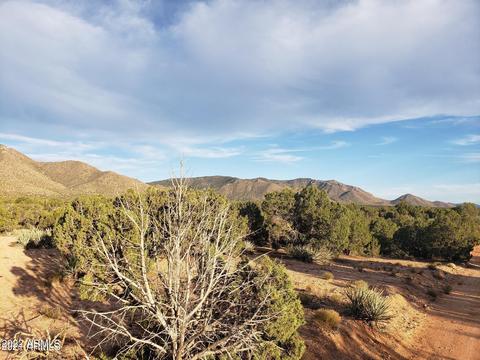 00 E Silver Springs Rd #317, Kingman, AZ 86401