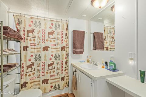 170 S Grand Dr, Apache Junction, AZ 85120 photo 15