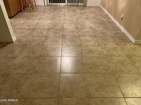 1408 S Main Dr, Apache Junction, AZ 85120 photo 8