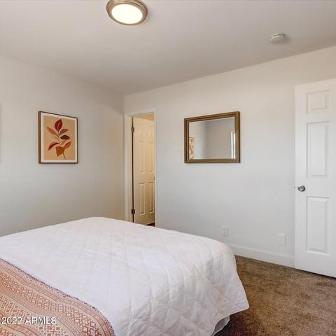 662 E Forge Ave, Mesa, AZ 85204 photo 18