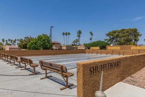 8264 E Desert Trl, Mesa, AZ 85208 photo 61