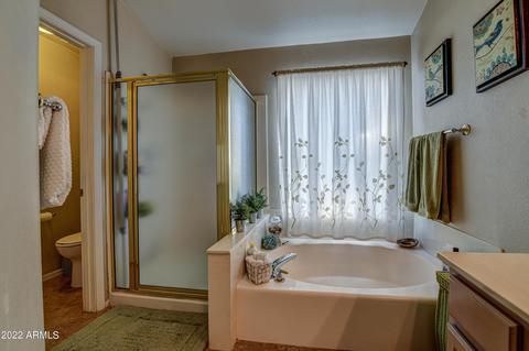 4212 E Terrace Ave, Gilbert, AZ 85234 photo 34
