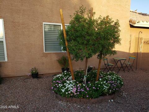 4212 E Terrace Ave, Gilbert, AZ 85234 photo 53