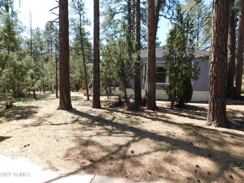 2937 Markham Rd, Overgaard, AZ 85933 photo 31
