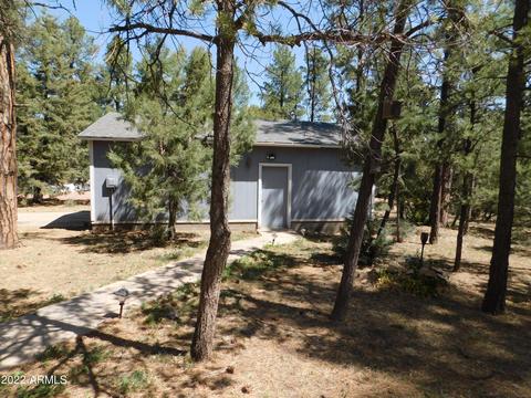 2937 Markham Rd, Overgaard, AZ 85933 photo 28