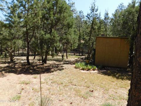 2937 Markham Rd, Overgaard, AZ 85933 photo 26