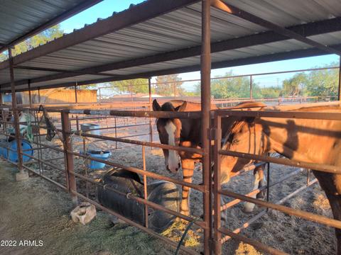 212 N Apache Rd, Buckeye, AZ 85326 photo 29