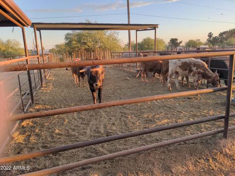 212 N Apache Rd, Buckeye, AZ 85326 photo 48