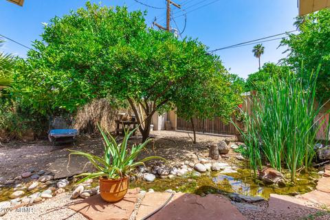 519 E Alameda Dr, Tempe, AZ 85282 photo 38
