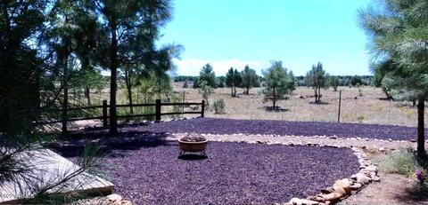 2664 Lodge Loop, Overgaard, AZ 85933 photo 13