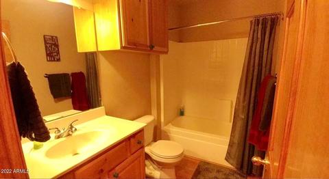 2664 Lodge Loop, Overgaard, AZ 85933 photo 11