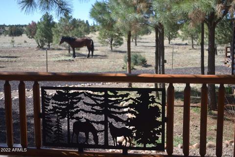 2664 Lodge Loop, Overgaard, AZ 85933 photo 14