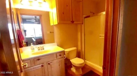 2664 Lodge Loop, Overgaard, AZ 85933 photo 9
