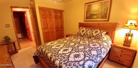 2664 Lodge Loop, Overgaard, AZ 85933 photo 10