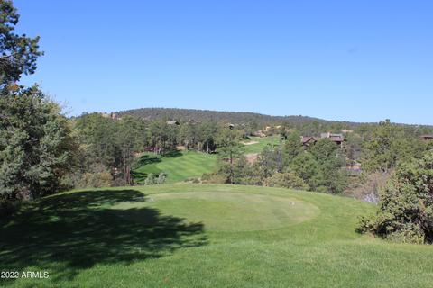 404 N Grapevine Dr, Payson, AZ 85541 photo 50
