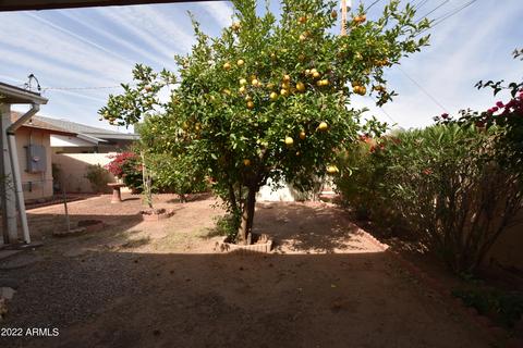2044 E Monterey Way, Phoenix, AZ 85016 photo 67