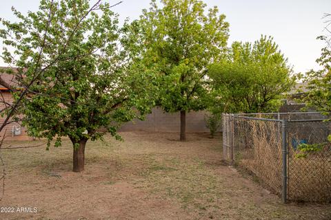 3130 E 13 St, Douglas, AZ 85607 photo 26