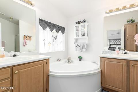 2938 S Geronimo Rd, Apache Junction, AZ 85119 photo 15