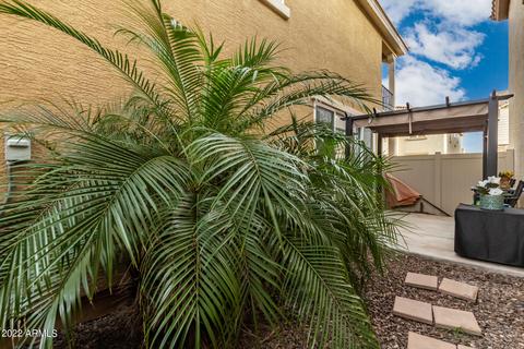 3883 Edna Dr, Gilbert, AZ 85296 photo 38