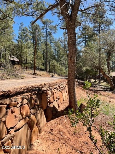 8317 W Eagle Dr, Pine, AZ 85544 photo 35