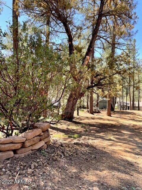 8317 W Eagle Dr, Pine, AZ 85544 photo 33