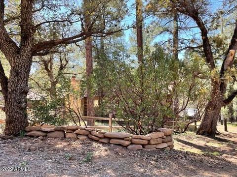 8317 W Eagle Dr, Pine, AZ 85544 photo 34