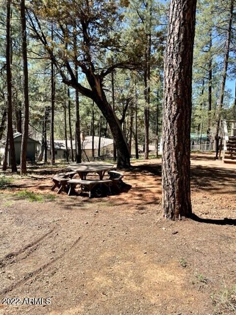 8317 W Eagle Dr, Pine, AZ 85544 photo 31
