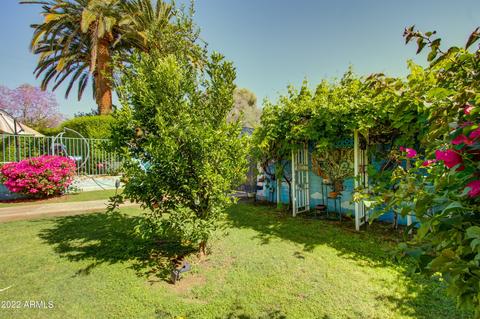 5141 N 18th St, Phoenix, AZ 85016 photo 54