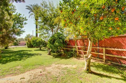 5141 N 18th St, Phoenix, AZ 85016 photo 50