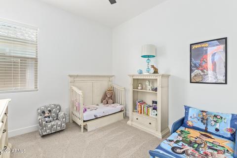 9908 E Rubidium Ave, Mesa, AZ 85212 photo 32