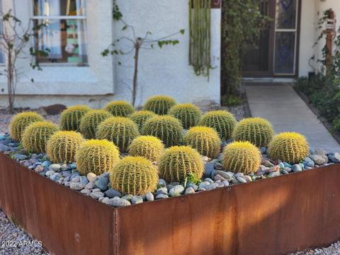 3915 E Larkspur Dr, Phoenix, AZ 85032 photo 3