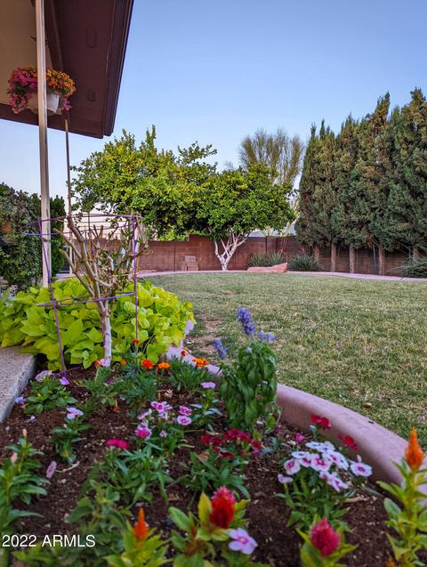 8051 E Madero Ave, Mesa, AZ 85209 photo 27