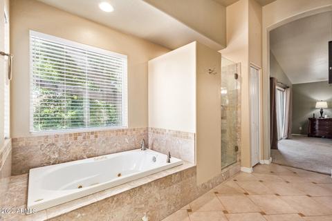 4239 E Hope St, Mesa, AZ 85205 photo 22