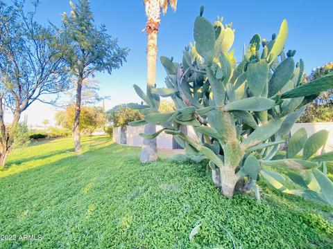 2331 E 10th St, Douglas, AZ 85607 photo 5