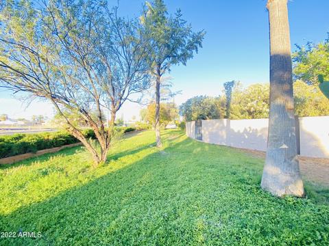 2331 E 10th St, Douglas, AZ 85607 photo 8
