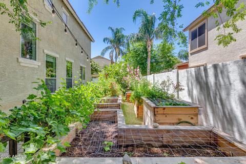 4025 E Gail Ct, Gilbert, AZ 85296 photo 8